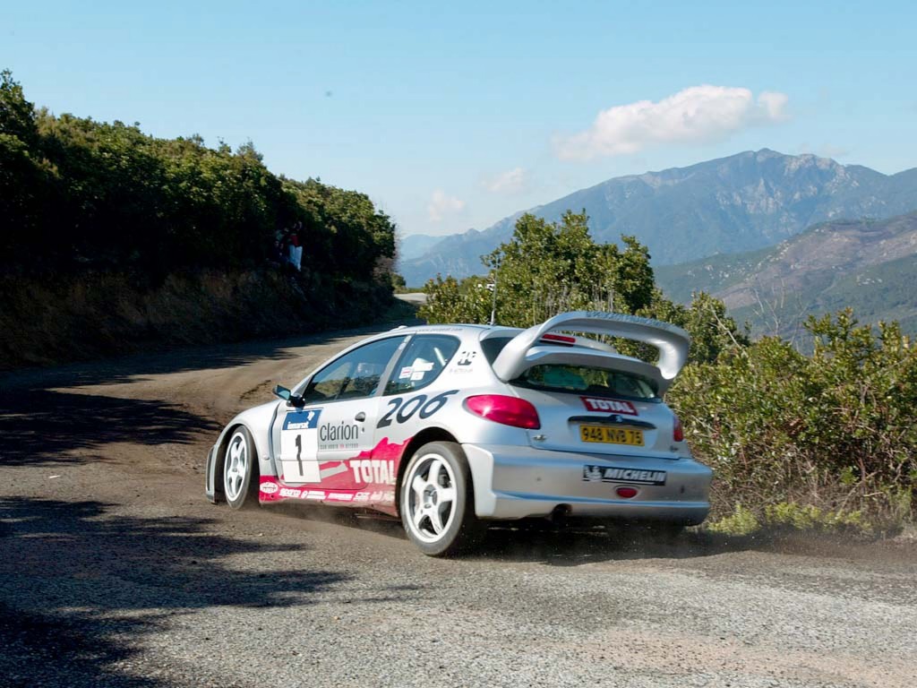 Peugeot 206 WRC