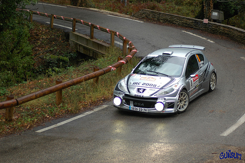 Peugeot 207 WRC