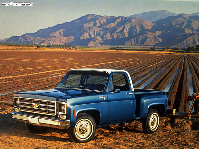 Chevrolet C-10 Cheyenne Step side