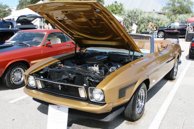 Ford Mustang Mach 1 conv