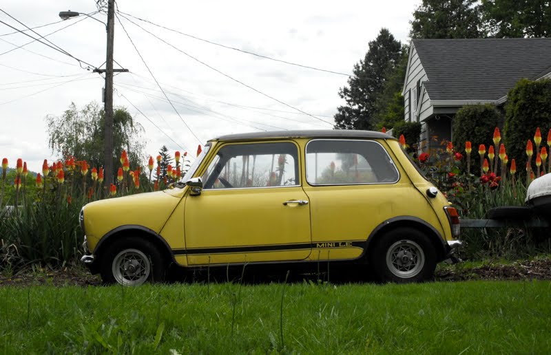 Austin Mini 1000 S