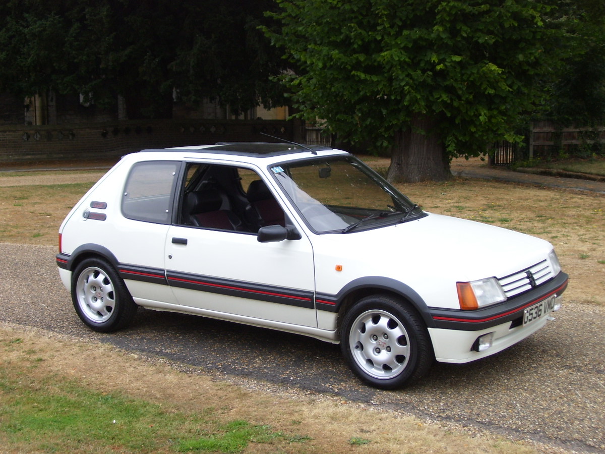 Peugeot 205 GTi 19