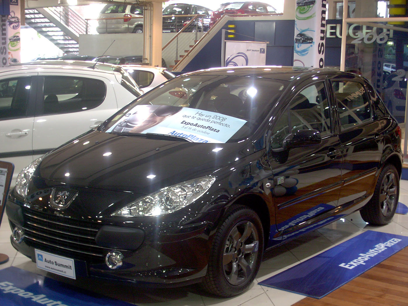 Peugeot 307 iRB Rugby World Cup Edition