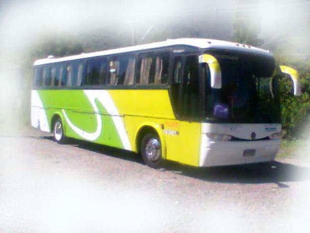 Mercedes benz and marcopolo buses #7