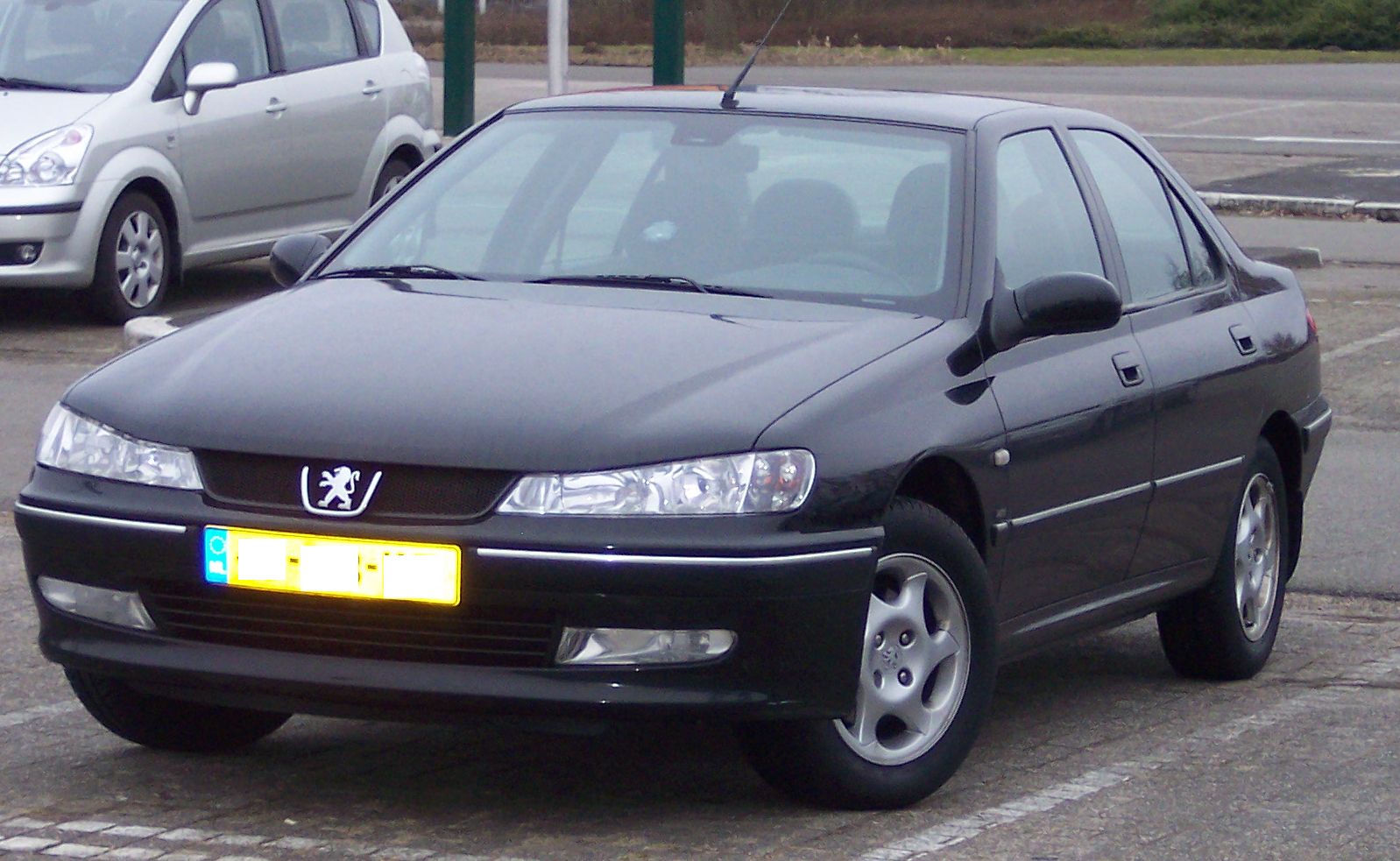 Peugeot 406 20