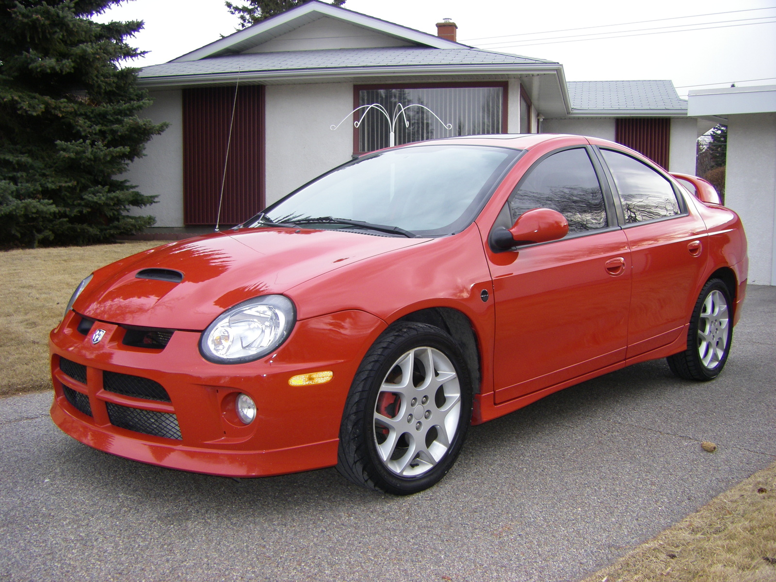 Dodge Neon SRT4picture 4 , reviews, news, specs, buy car