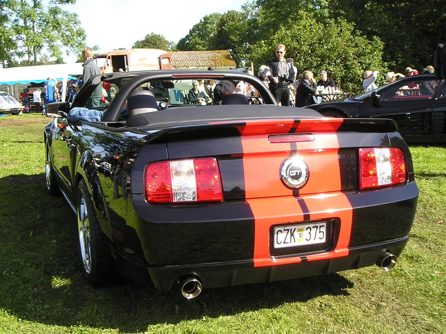 Ford Mustang GT Hertz conv