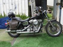 Honda Dyna