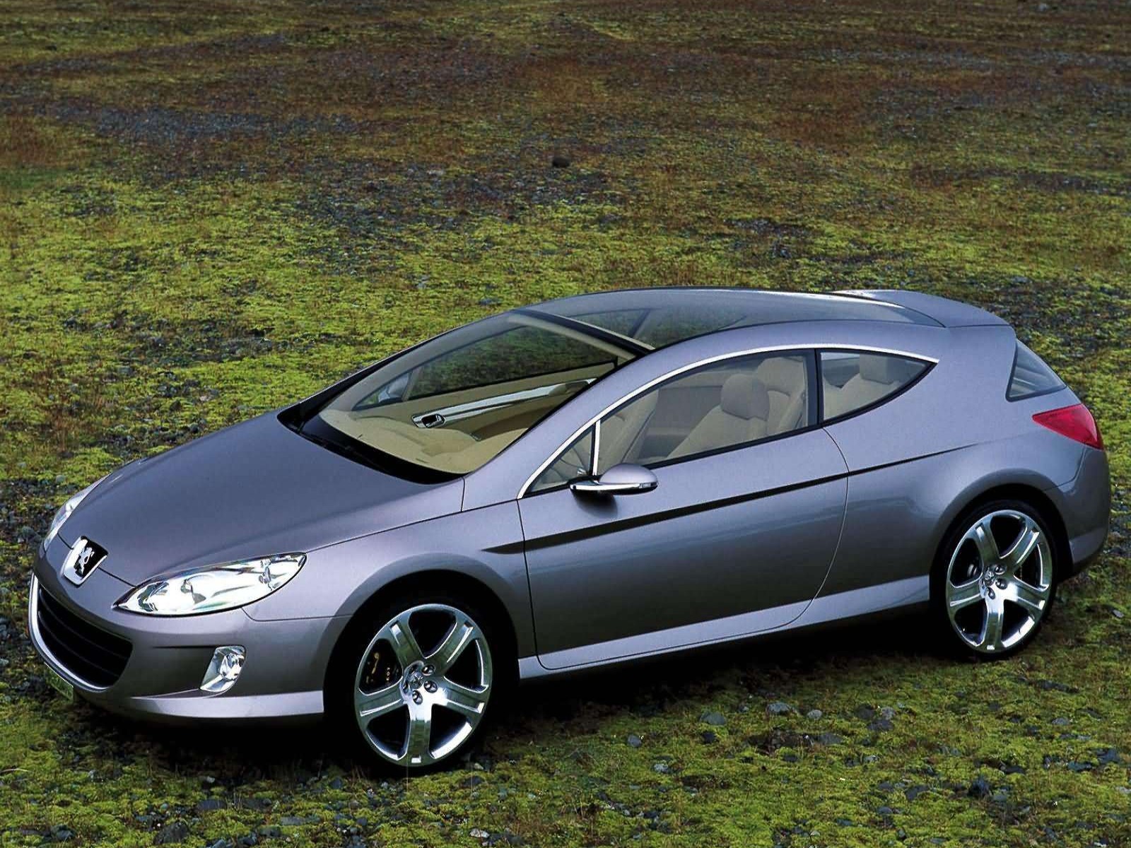 Peugeot 407 Elixir