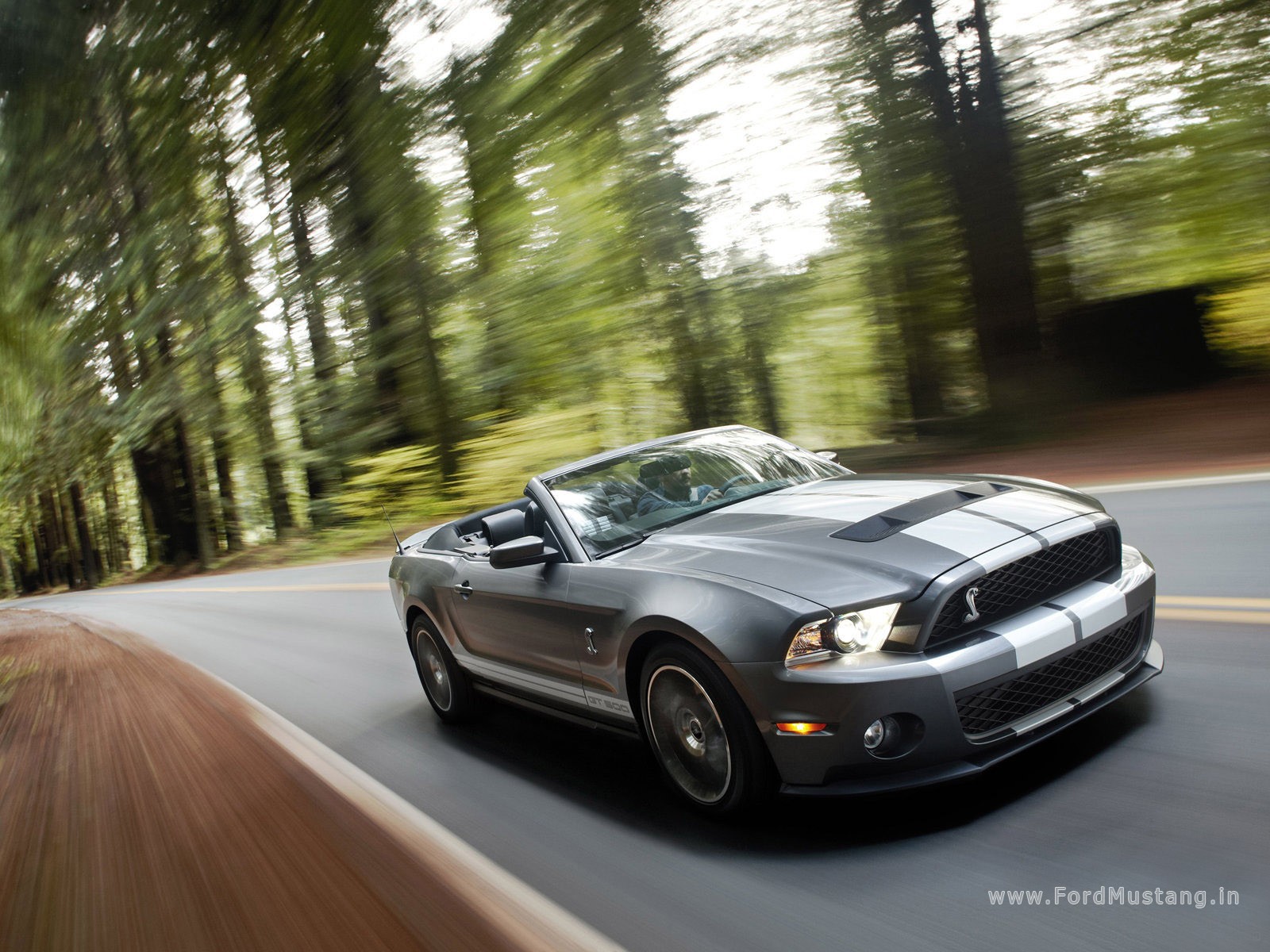 Ford Mustang Shelby GT 500 conv