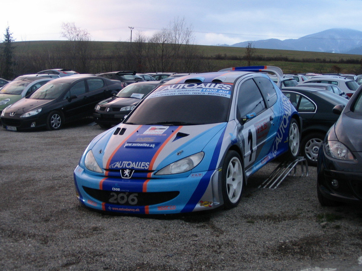 Peugeot 206 WRC maquette