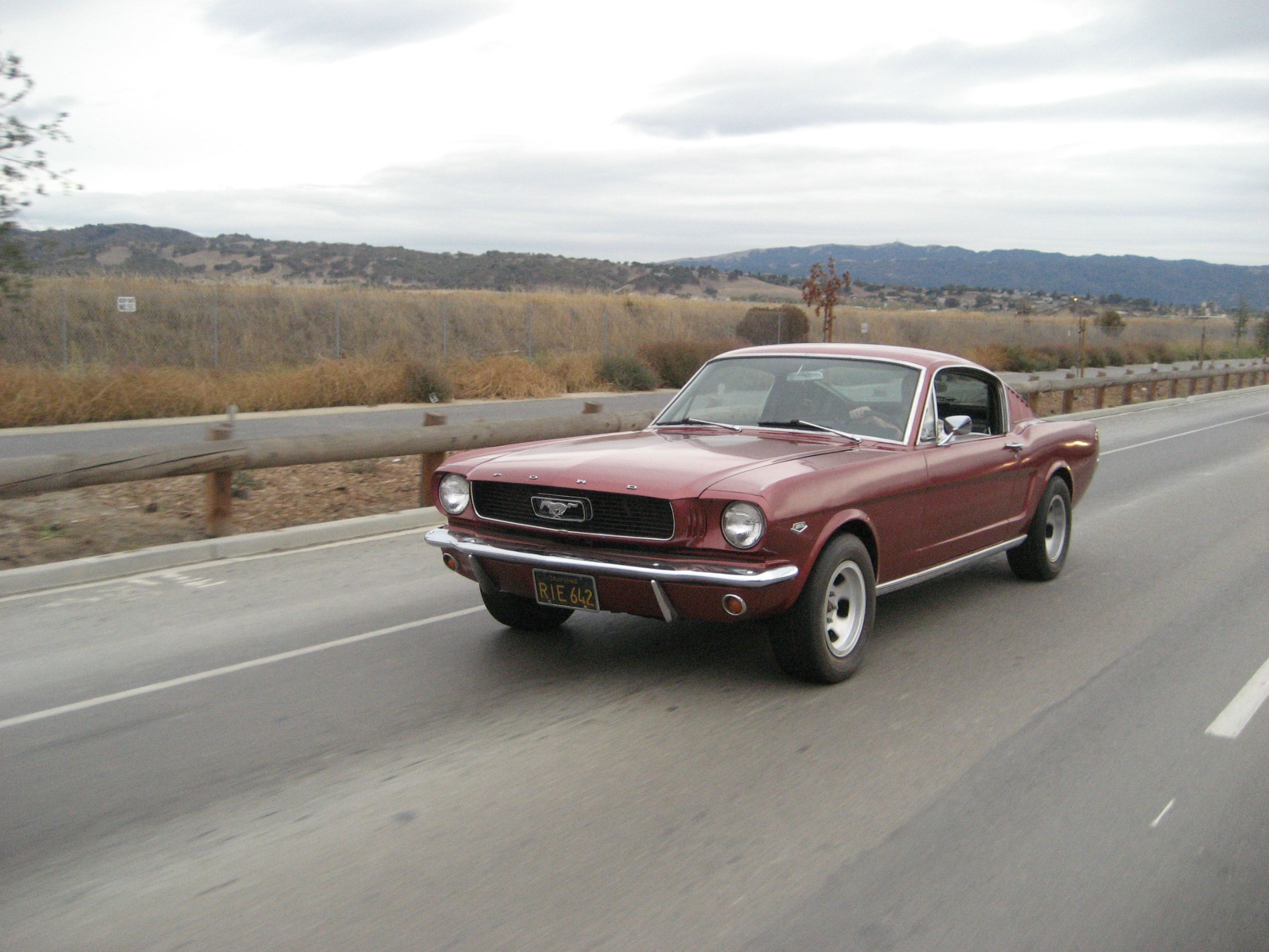 Ford Mustang Fast back