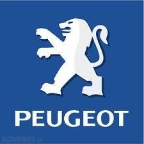 Peugeot 307 16 HDi