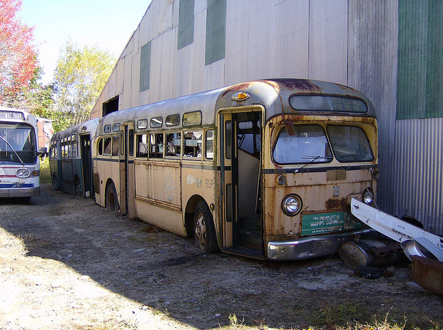 Unknown Buses