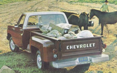 Chevrolet C-10 Cheyenne Step side