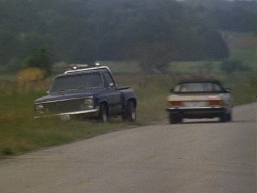 Chevrolet C-10 Silverado Stepside