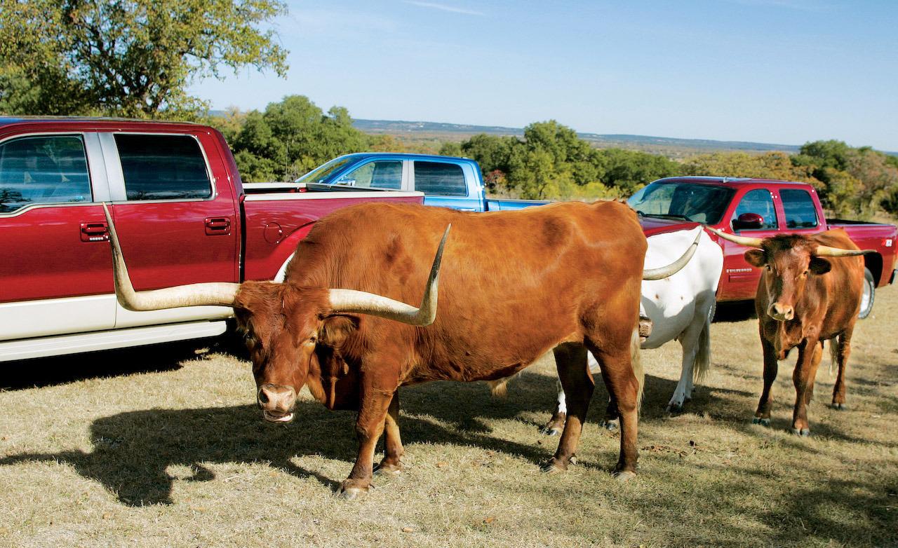 Ford F-150 King Ranch Edition crew cab