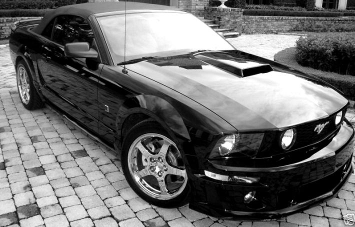 Ford Mustang GT Roush conv