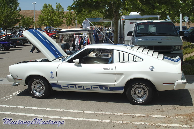 Ford Mustang II Notch Coupe