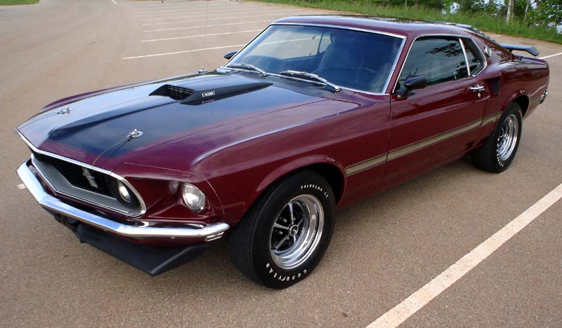 mustang cobra fastback