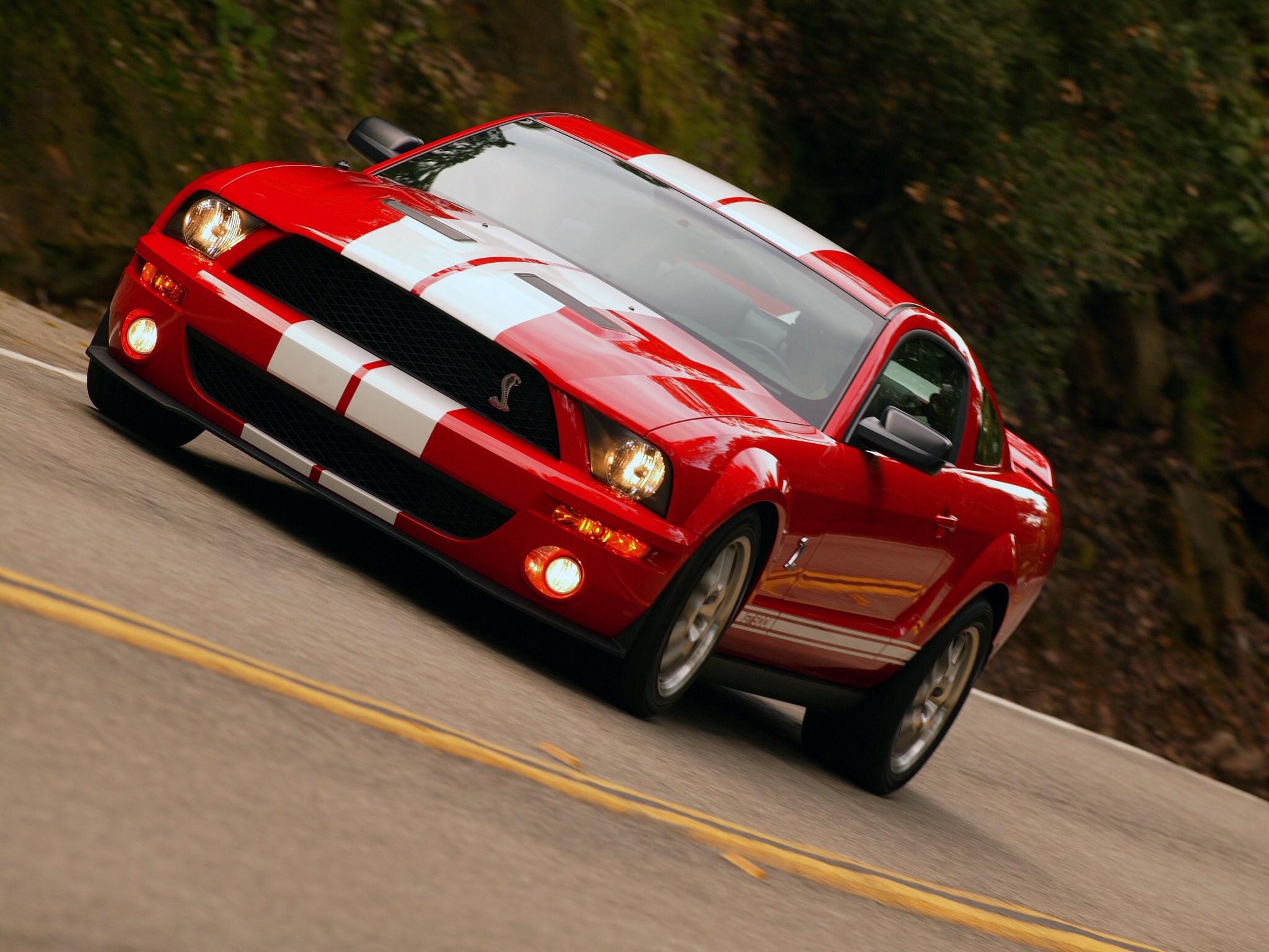mustang gt shelby