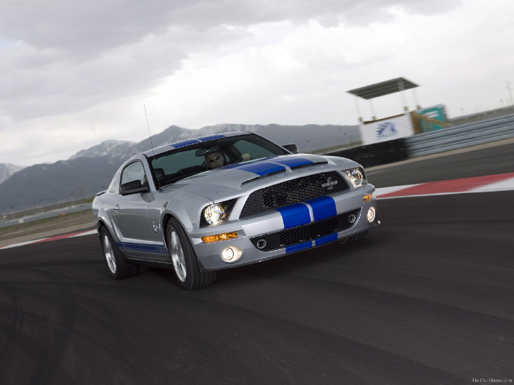 Ford Mustang Shelby GT 500 Cobra