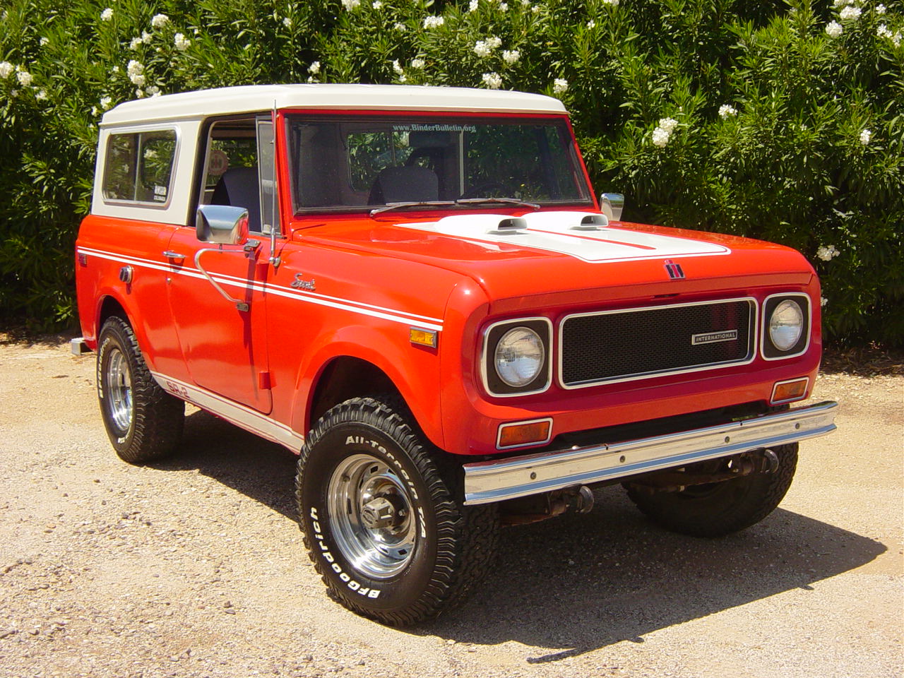 International Scout