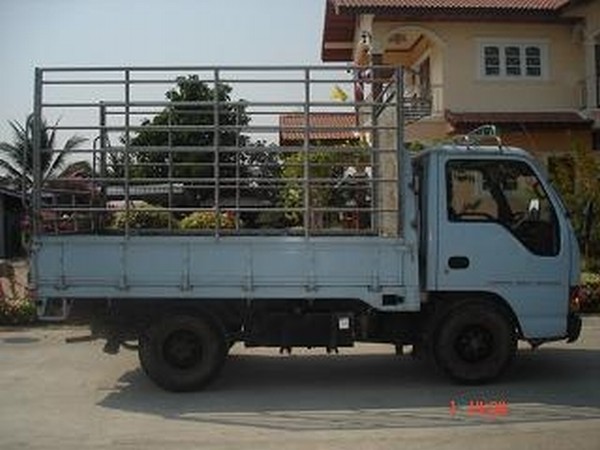 Isuzu NKR