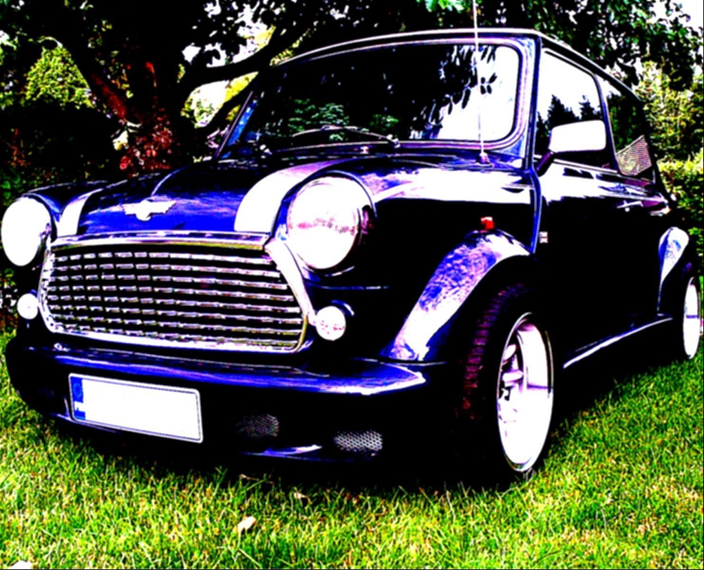 Rover Mini