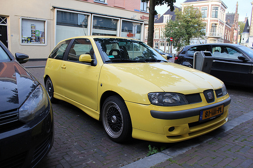 Seat Ibiza Slalom Typ 6K