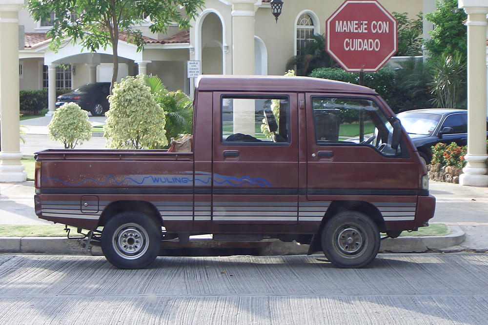 Wuling LZW1010PLNEil