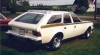 AMC Hornet Sportabout DL