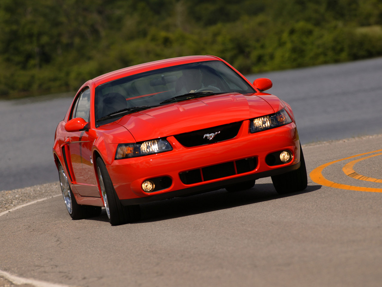 Ford SVT Mustang Cobra