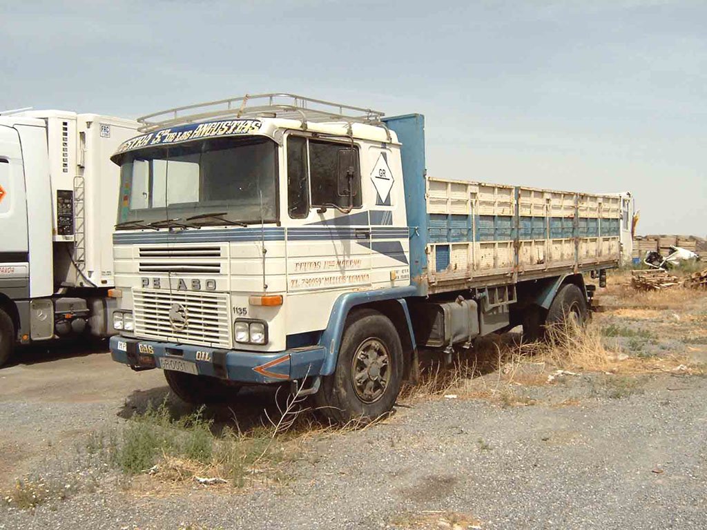 Pegaso 1135