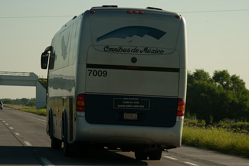 Dina Marcopolo MP115 Dina Marcopolo MP115