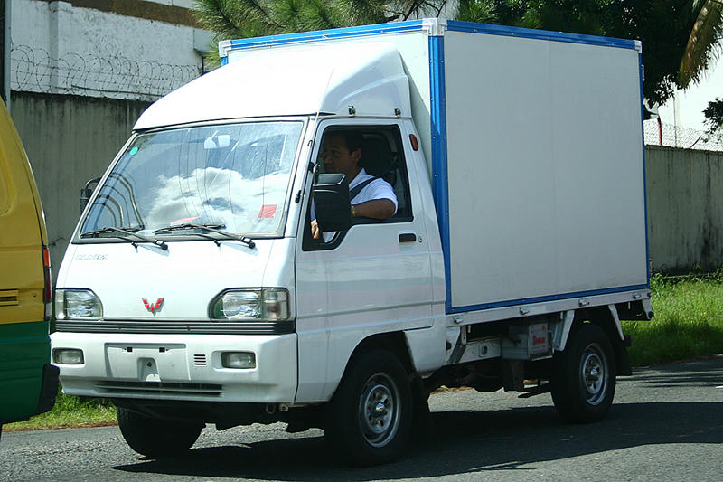 Wuling LZW1010PSLNEiI