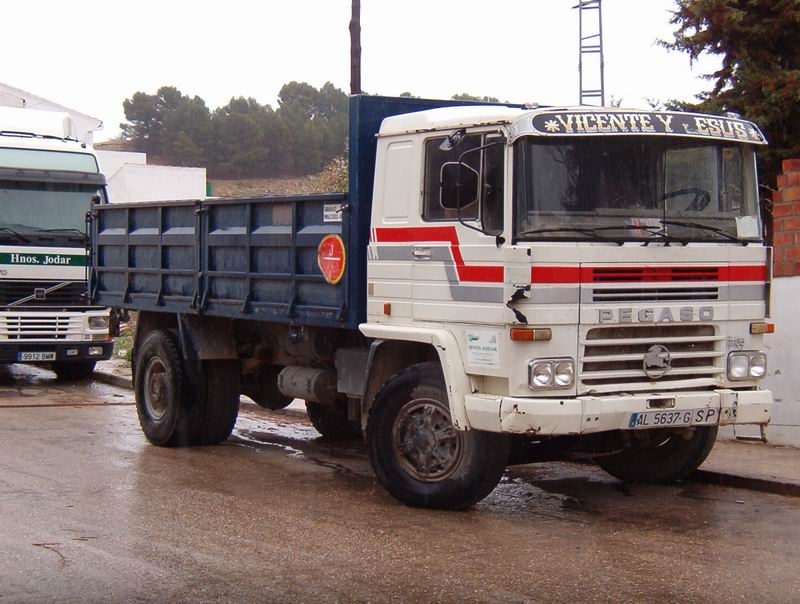 Pegaso 1135