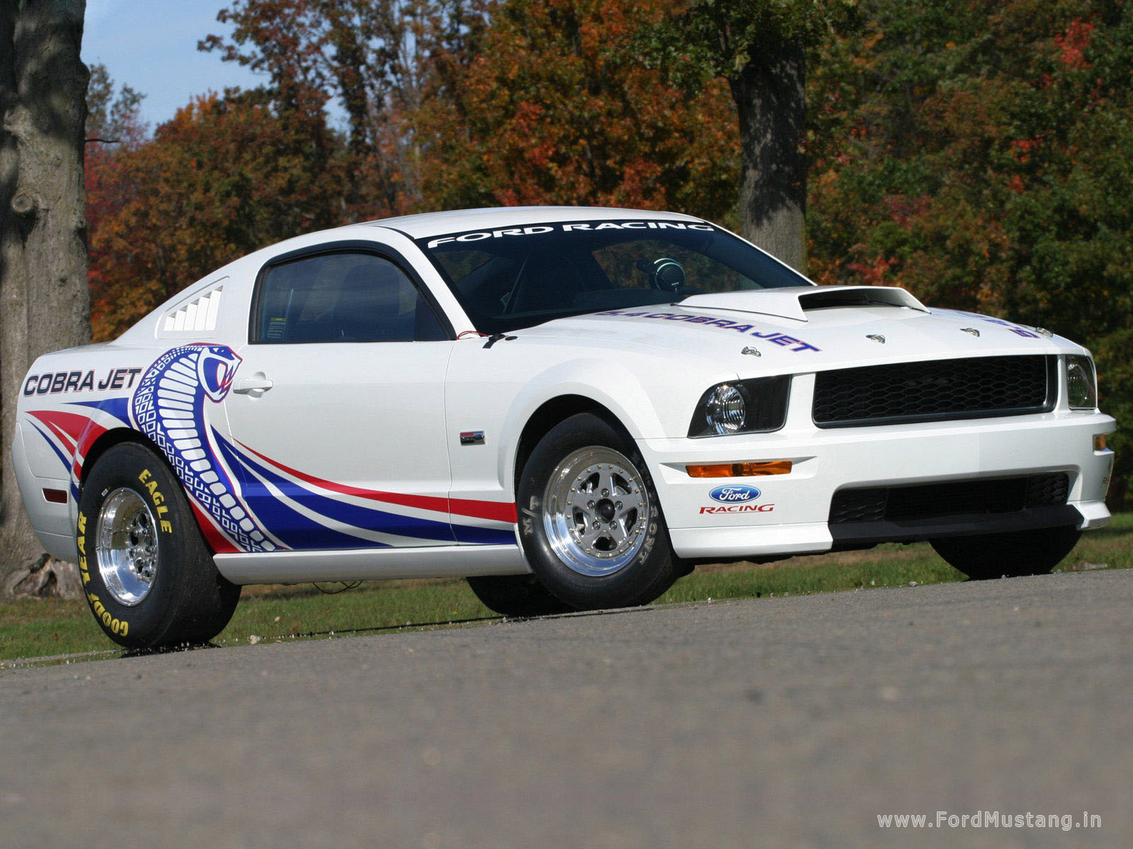 Ford Mustang Cobra Jet