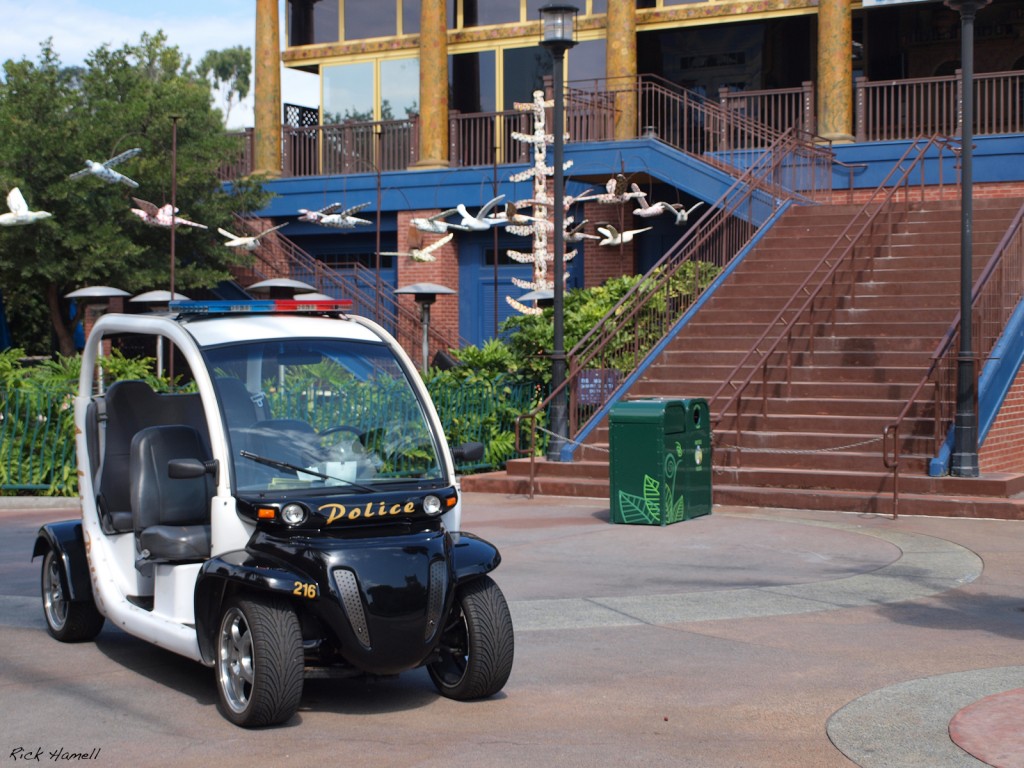 Disneyland Police car