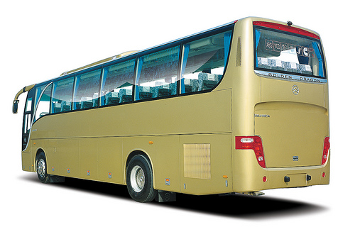 Golden Dragon Unknown Golden Dragon Unknown