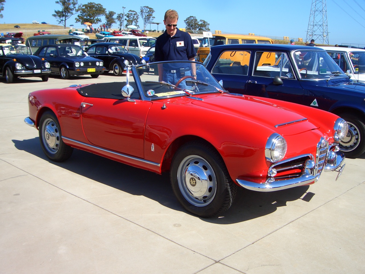 Alfa Romeo 1600 Giulia spider