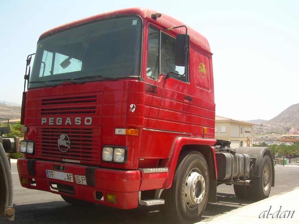 Pegaso 123438