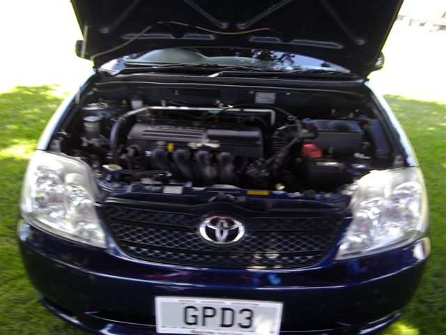 Toyota Corolla GL Hatch