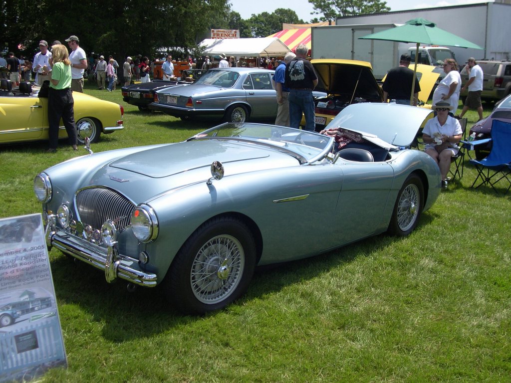 Austin-Healey 100