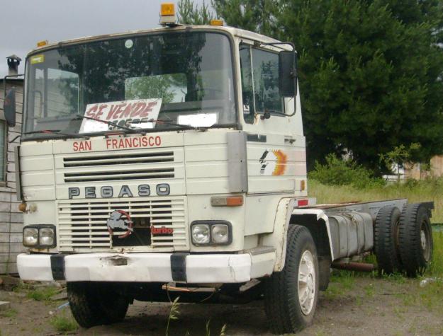 Pegaso 122612