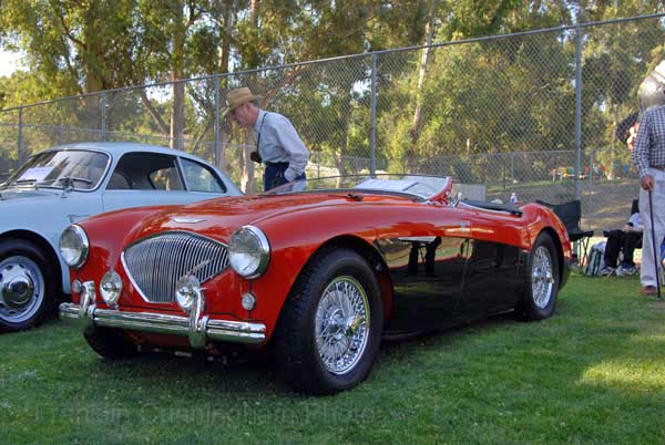 Austin Healey 100-4 Le Mans