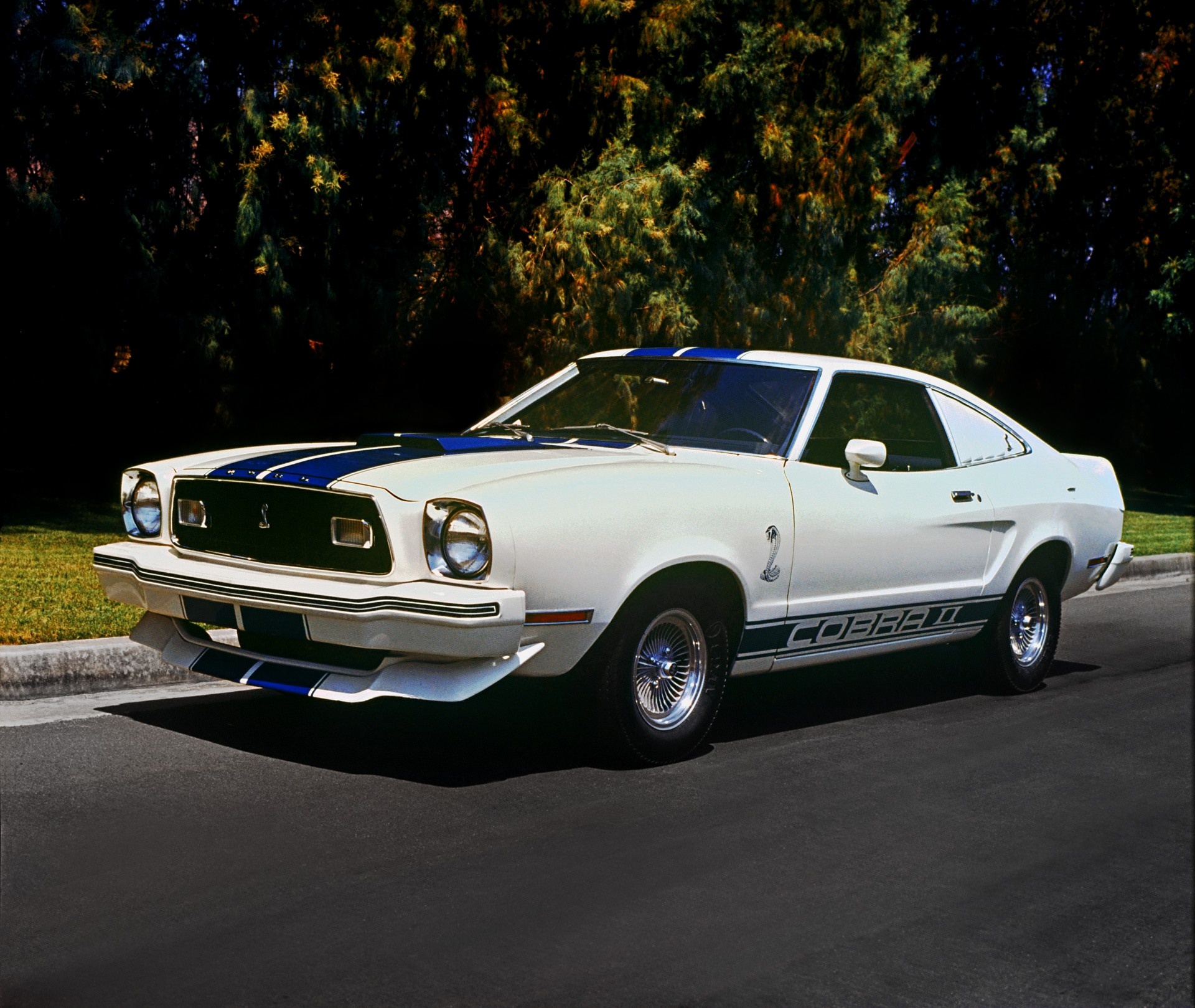 Ford Mustang II Cobra II