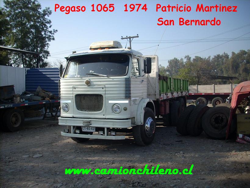 Pegaso 1065