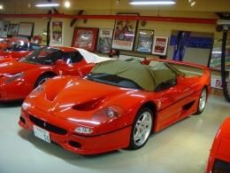 Ferrari F-50 and Enzo