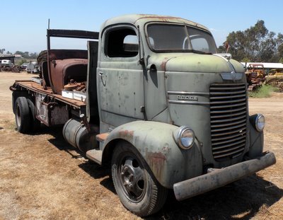 Dodge COE